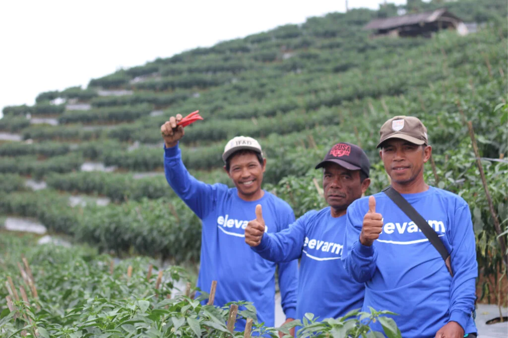 Indonesia’s Elevarm raises $4.25M in Pre-Series A funding led by Intudo